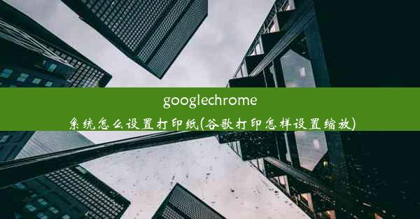 googlechrome系统怎么设置打印纸(谷歌打印怎样设置缩放)