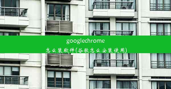 googlechrome怎么装软件(谷歌怎么安装使用)