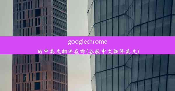 googlechrome的中英文翻译在哪(谷歌中文翻译英文)