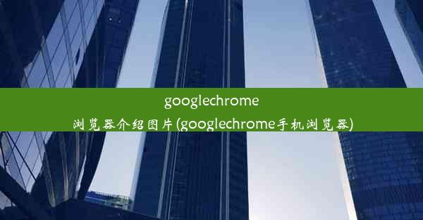 googlechrome浏览器介绍图片(googlechrome手机浏览器)