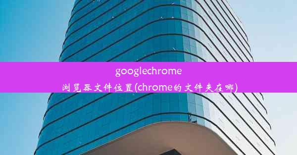 googlechrome浏览器文件位置(chrome的文件夹在哪)