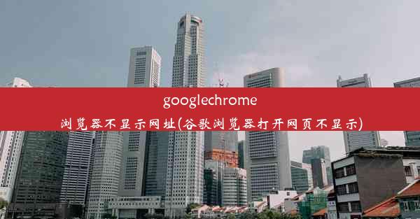 googlechrome浏览器不显示网址(谷歌浏览器打开网页不显示)