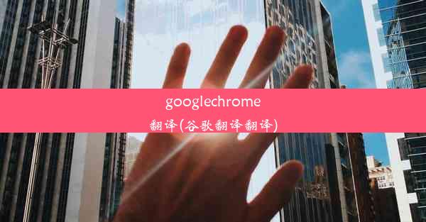 googlechrome翻译(谷歌翻译翻译)