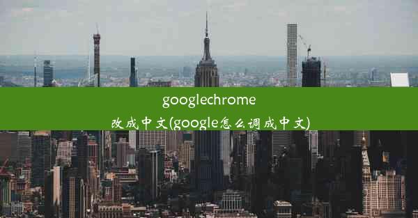 googlechrome改成中文(google怎么调成中文)