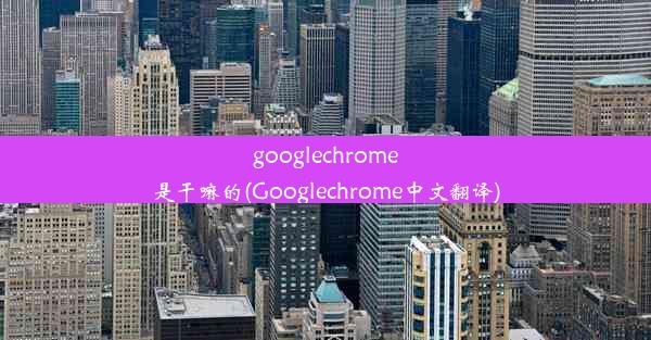 googlechrome是干嘛的(Googlechrome中文翻译)