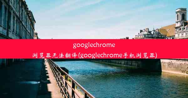 googlechrome浏览器无法翻译(googlechrome手机浏览器)