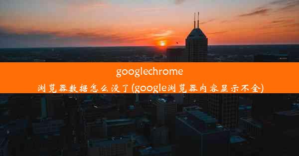 googlechrome浏览器数据怎么没了(google浏览器内容显示不全)