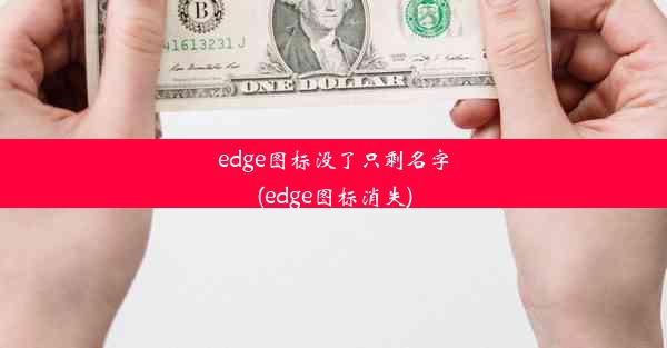 edge图标没了只剩名字(edge图标消失)