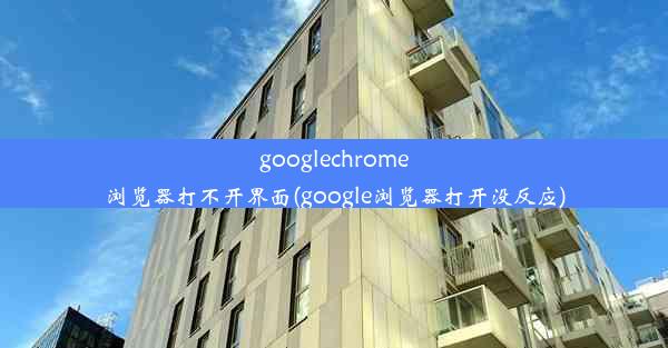 googlechrome浏览器打不开界面(google浏览器打开没反应)