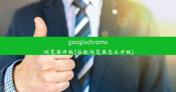 googlechrome浏览器升级(谷歌游览器怎么升级)