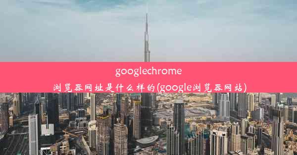 googlechrome浏览器网址是什么样的(google浏览器网站)