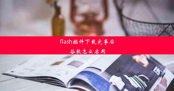 flash插件下载完事后谷歌怎么启用