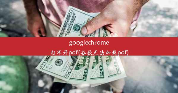 googlechrome打不开pdf(谷歌无法加载pdf)