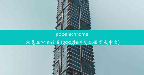 googlechrome浏览器中文设置(google浏览器设置成中文)