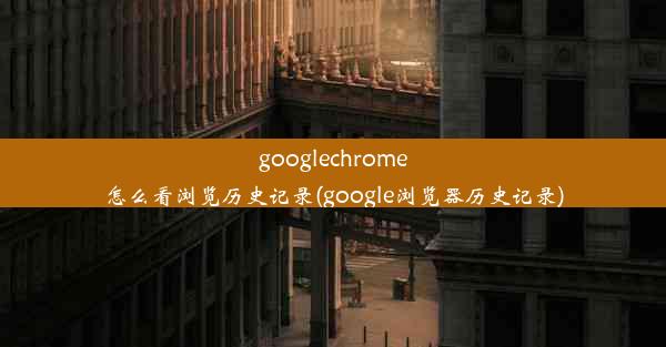 googlechrome怎么看浏览历史记录(google浏览器历史记录)