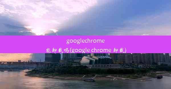 googlechrome能卸载吗(google chrome 卸载)