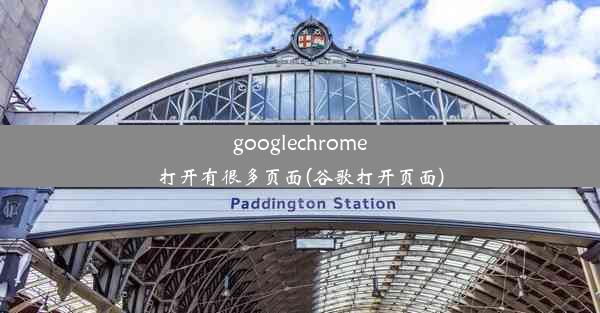 googlechrome打开有很多页面(谷歌打开页面)