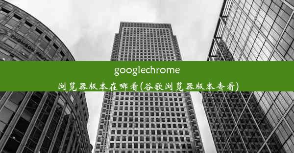 googlechrome浏览器版本在哪看(谷歌浏览器版本查看)