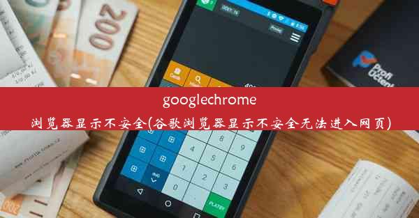 googlechrome浏览器显示不安全(谷歌浏览器显示不安全无法进入网页)