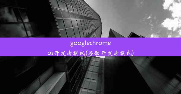 googlechromeos开发者模式(谷歌开发者模式)