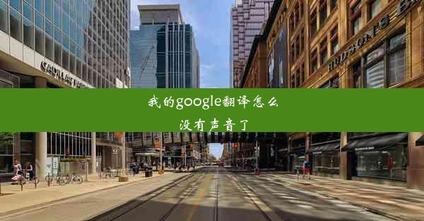 我的google翻译怎么没有声音了