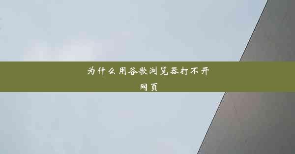 为什么用谷歌浏览器打不开网页