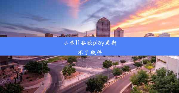 小米11谷歌play更新不了软件