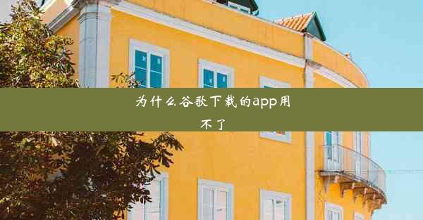 为什么谷歌下载的app用不了