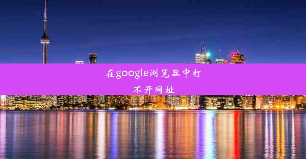 在google浏览器中打不开网址