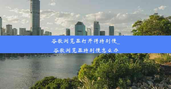 谷歌浏览器打开得特别慢_谷歌浏览器特别慢怎么办