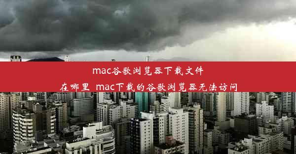 mac谷歌浏览器下载文件在哪里_mac下载的谷歌浏览器无法访问