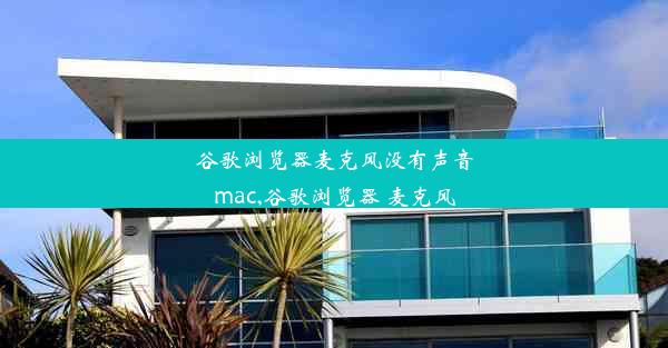 谷歌浏览器麦克风没有声音mac,谷歌浏览器 麦克风