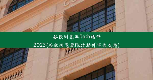 谷歌浏览器flash插件2023(谷歌浏览器flash插件不受支持)