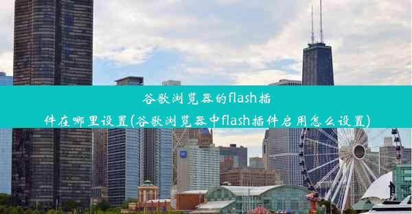 谷歌浏览器的flash插件在哪里设置(谷歌浏览器中flash插件启用怎么设置)