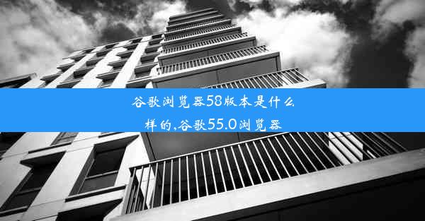 谷歌浏览器58版本是什么样的,谷歌55.0浏览器