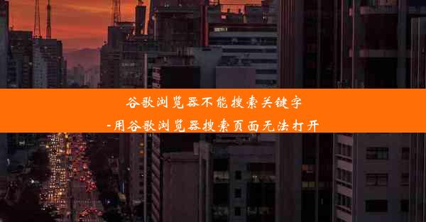 谷歌浏览器不能搜索关键字-用谷歌浏览器搜索页面无法打开