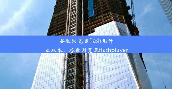 谷歌浏览器flash用什么版本、谷歌浏览器flashplayer