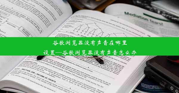 谷歌浏览器没有声音在哪里设置—谷歌浏览器没有声音怎么办