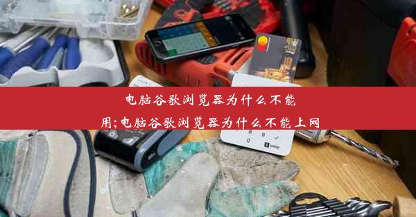 电脑谷歌浏览器为什么不能用;电脑谷歌浏览器为什么不能上网