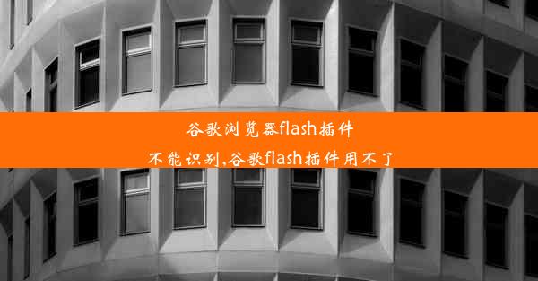 谷歌浏览器flash插件不能识别,谷歌flash插件用不了