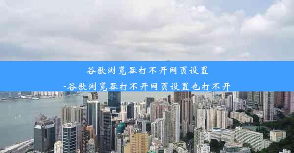 谷歌浏览器打不开网页设置-谷歌浏览器打不开网页设置也打不开