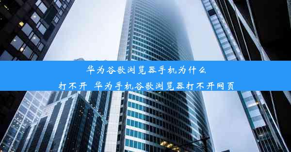 华为谷歌浏览器手机为什么打不开_华为手机谷歌浏览器打不开网页