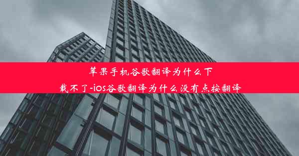 苹果手机谷歌翻译为什么下载不了-ios谷歌翻译为什么没有点按翻译