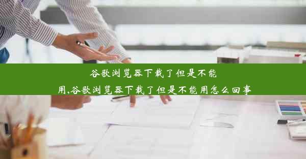 谷歌浏览器下载了但是不能用,谷歌浏览器下载了但是不能用怎么回事