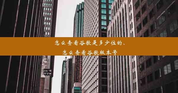 怎么查看谷歌是多少位的、怎么查看谷歌版本号