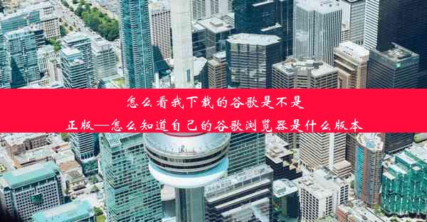 怎么看我下载的谷歌是不是正版—怎么知道自己的谷歌浏览器是什么版本