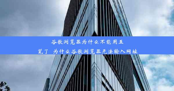 谷歌浏览器为什么不能用五笔了_为什么谷歌浏览器无法输入网址