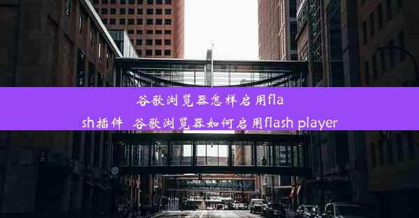 谷歌浏览器怎样启用flash插件_谷歌浏览器如何启用flash player