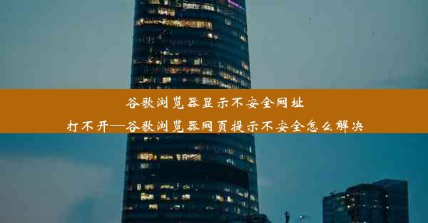 谷歌浏览器显示不安全网址打不开—谷歌浏览器网页提示不安全怎么解决