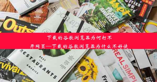 下载的谷歌浏览器为何打不开网页—下载的谷歌浏览器为什么不好使